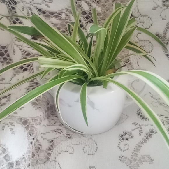 Hand painted Nippon sugar bowl with airplane plants - Picture 3 of 6